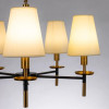 A4075LM-5BK Подвесная люстра Arte Lamp RICCARDO A4075LM-5BK