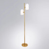 A5454PN-2PB Торшер Arte Lamp CASSEL A5454PN-2PB