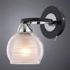 Бра A1604AP-1BK Arte Lamp Черный