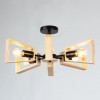 A8030PL-6BK Потолочная люстра Arte Lamp BRUSSELS A8030PL-6BK