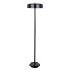 A7052PN-2BK Торшер Arte Lamp SKAT A7052PN-2BK