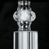A4091LM-5CC Подвесная люстра Arte Lamp ALHENA A4091LM-5CC