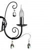Бра A1742AP-2BK Arte Lamp Черный