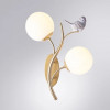 A9712AP-2SG Бра Arte Lamp CAMOMILLA A9712AP-2SG