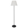 A5068PN-1BK Торшер Arte Lamp ALEA A5068PN-1BK