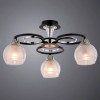 Люстра потолочная A1604PL-3BK Arte Lamp Черный