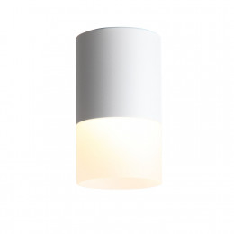 Светильник потолочный ST100.502.10 ST-Luce Белый