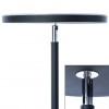 Торшер A1822PN-1BK Arte Lamp Черный