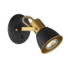 Спот A1677AP-1GO Arte Lamp Золото