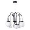 Люстра на штанге A1675LM-8BK Arte Lamp Черный