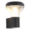 SL9541.701.01 Светильник уличный настенный ST-Luce темно-серый LED 1*6W 3000K