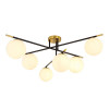 A2224PL-6BK Потолочная люстра Arte Lamp ALCOR A2224PL-6BK