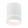 ST115.532.12 Светильник потолочный Белый LED 1*12W 3000K 840Lm Ra>90 120° IP20 D79xH100 170-240V