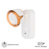 A8026AP-1WH Спот Arte Lamp AMAKS A8026AP-1WH