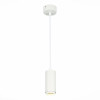 ST600.543.10 Светильник подвесной Zoom Белый LED 1*10W 4000K 1 000Lm Ra>80 15-60° IP20 D59xH130 170-