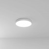 A6650PL-1WH Потолочный светильник Arte Lamp FADO A6650PL-1WH