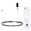 A2184SP-1BK Подвесная люстра Arte Lamp MERCURY A2184SP-1BK