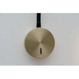 Бра A5879AP-1SG Arte Lamp Матовое золото