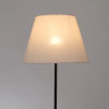 A5068PN-1BK Торшер Arte Lamp ALEA A5068PN-1BK