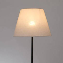 Торшер A5068PN-1BK Arte Lamp Черный
