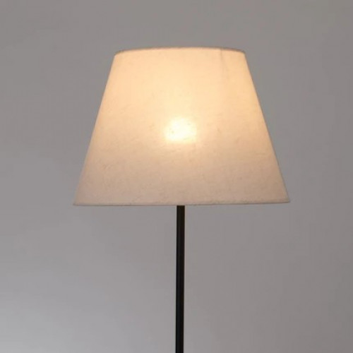 A5068PN-1BK Торшер Arte Lamp ALEA A5068PN-1BK