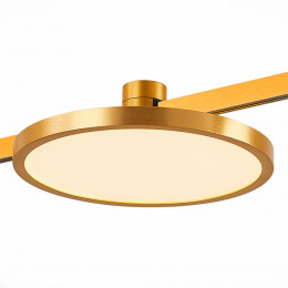 Светильник трековый ST818.246.12 ST-Luce Золотистый