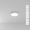 A7335PL-1WH Потолочный светильник Arte Lamp FADO A7335PL-1WH