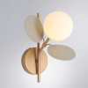 Бра A1369AP-1GY Arte Lamp МАТОВОЕ ЗОЛОТО/СЕРЫЙ