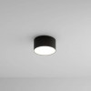 A7312PL-1BK Потолочный светильник Arte Lamp FADO A7312PL-1BK