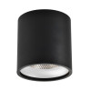 ST165.442.12 Светильник потолочный Черный LED 1*12W 4000K 840Lm Ra>90 36° IP44 D80xH85 85-265V