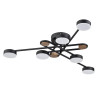A2455PL-6BK Потолочная люстра Arte Lamp TAYGETA A2455PL-6BK