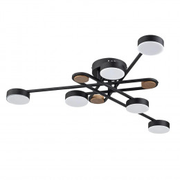 Люстра потолочная A2455PL-6BK Arte Lamp Черный