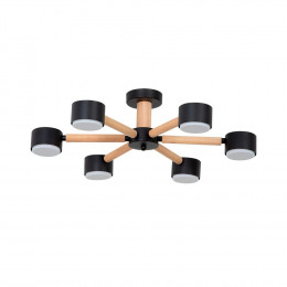 Люстра потолочная A1624PL-6BK Arte Lamp Черный