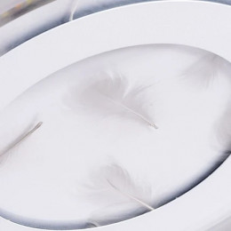 Люстра потолочная A1397PL-1CL Arte Lamp Прозрачный