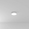 A6620PL-1WH Потолочный светильник Arte Lamp FADO A6620PL-1WH