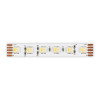 ST1005.418.20RGBW Светодиодная лента 18Вт/м (сум.) 4000К 2100Lm (для бел.) Ra90 IP20 L5000xW12 24В
