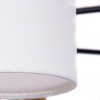 A4099PL-8BK Потолочная люстра Arte Lamp MODELLO A4099PL-8BK