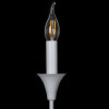 A4094AP-2WH Бра Arte Lamp COLLINETTA A4094AP-2WH