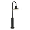 SL9512.405.01 Светильник уличный напольный ST-Luce черный/Прозрачный LED 1*10W 4000K