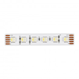 Лента светодиодная ST5005.318.20RGBW ST-Luce