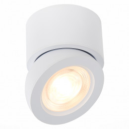 Светильник потолочный ST654.532.10 ST-Luce Белый