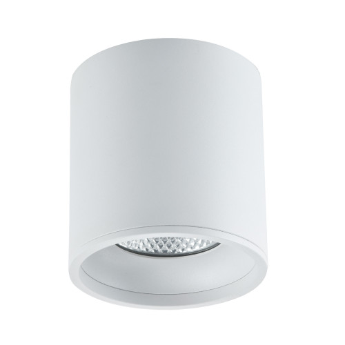 ST165.532.12 Светильник потолочный Белый LED 1*12W 3000K 840Lm Ra>90 36° IP44 D80xH85 85-265V