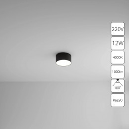 Светильник потолочный A6612PL-1BK Arte Lamp Черный
