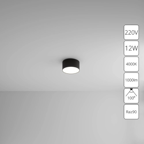 A6612PL-1BK Потолочный светильник Arte Lamp FADO A6612PL-1BK