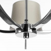 1341/02 LM-5 Подвесная люстра Divinare SOPRANO 1341/02 LM-5