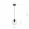 SL1056.403.01 Подвес ST-Luce Черный/Прозрачный E27 1*60W
