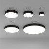 A7335PL-1BK Потолочный светильник Arte Lamp FADO A7335PL-1BK