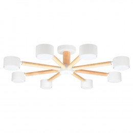 Люстра потолочная A1624PL-8WH Arte Lamp Белый