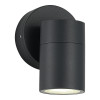 SL9008.701.01 Светильник уличный настенный ST-Luce серый/белый GU10 1*50W