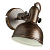 A5213AP-1BR Спот Arte Lamp MARTIN A5213AP-1BR